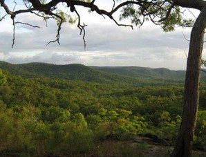 Cooktown Aboriginal Art Tours - Tourism Guide 1