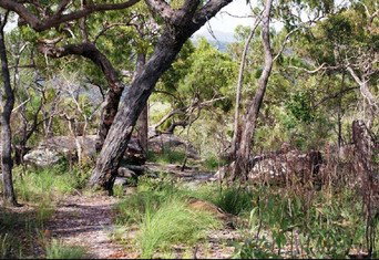 Cooktown Aboriginal Art Tours - Tourism Guide 2