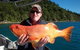 Gone Fishing By Coral Sea Fishing Charters Airlie Beach - thumb 0
