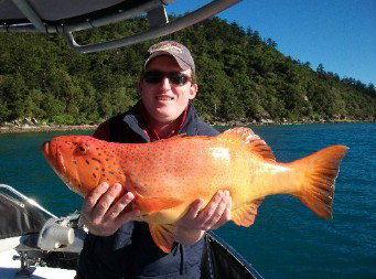 Gone Fishing By Coral Sea Fishing Charters Airlie Beach - Travel Agents 0