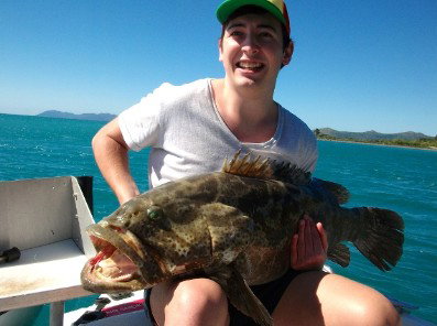 Gone Fishing By Coral Sea Fishing Charters Airlie Beach - Travel Agents 4