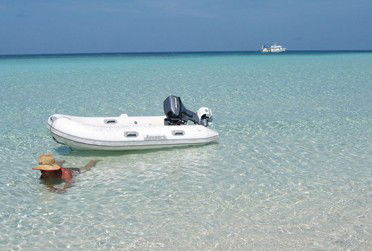 Adrenalin Snorkel And Dive - Tourism Guide 4