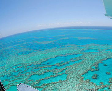Air Whitsunday Seaplanes - Tourism Guide 0