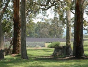 Broadwater QLD Tourism Guide