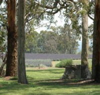 Aloomba Lavender - Tourism Guide