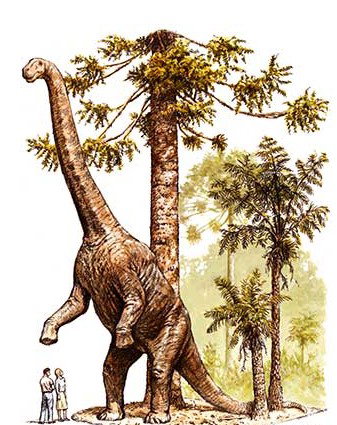 Australian Age Of Dinosaurs - Tourism Guide 2