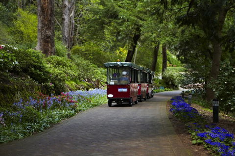 Araluen Botanic Park - Cruises Travel 0