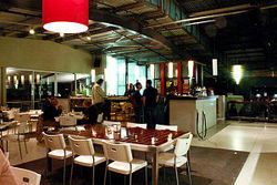 Martini Bar - Travel Search 1