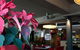 The Buckland Hotel - thumb 1