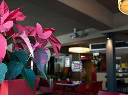 The Buckland Hotel - Travel Search 1