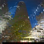 Summit - Restaurant - Travel Search 1