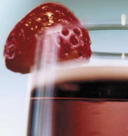 The Corner - Travel Search 2