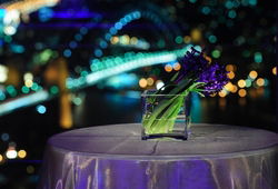 Summit - Orbit Lounge Bar - Travel Search 3