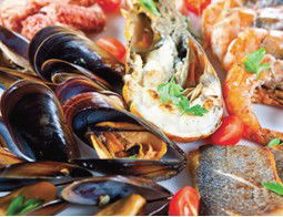 Pelagos Greek Tavern - Tourism Guide 2