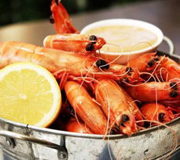 Full Moon Hotel - Moonlight Dining - Tourism Guide 0