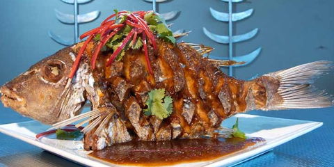 Fish On Parkyn - Travel Agents 5