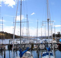 Oyster Cove Inn - Tourism Guide