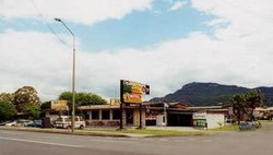 Cabbage Tree Hotel - Tourism Guide 0