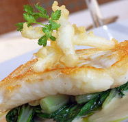 Brighton Metro Hotel - Travel Search