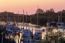 H20 Bar And Bistro - Travel Agents 1