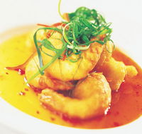 Palm Cove Tavern - Travel Agents