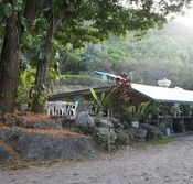 Ellis Beach Bar  Grill - Travel Agents
