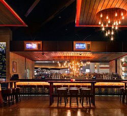 Rock Lily Nightclub - Travel Search 0