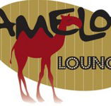 Camelot Lounge - Travel Search