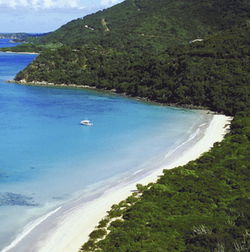Palm Cove Tavern - Travel Agents 1
