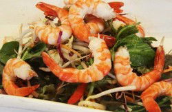Nicholsons Bar & Grill - Travel Agents 1