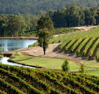 Brookhampton Estate Vineyard