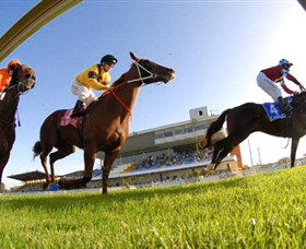 Wyong Race Club - Tourism Guide 0