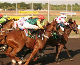 Darwin Turf Club - Tourism Guide 1