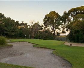 Anglesea Golf Club - Tourism Guide 4