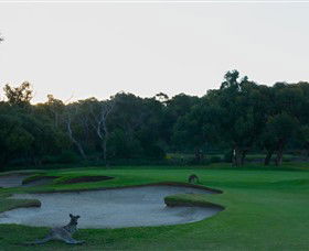 Anglesea Golf Club - Tourism Guide 8