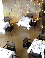 Pyrmont NSW Travel Search