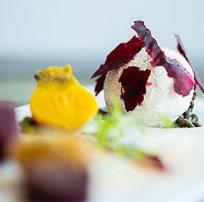 Just Pure Bistro - Travel Agents 0
