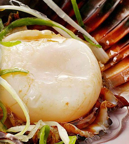 Golden Century Seafood Restaurant - Travel Search 2