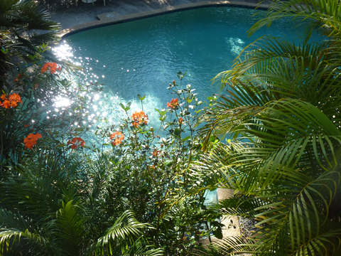 Avoca Beach Hotel - Tourism Guide 1
