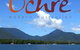 Ochre Restaurant & Catering - thumb 1