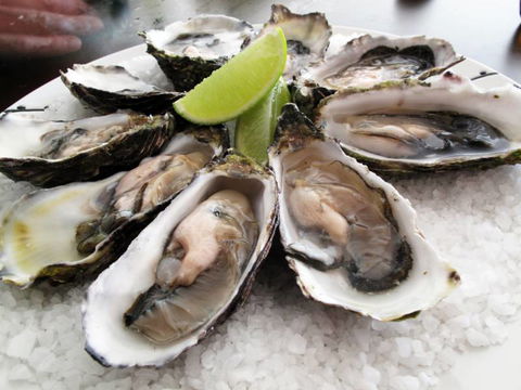 AM Grill - Tourism Guide 2