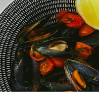 The Italian Diner - Travel Search