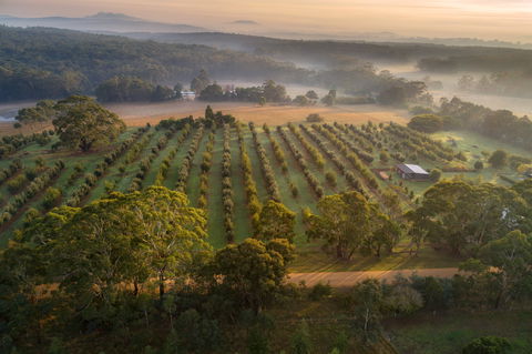 A Taste Of Truffles - Tourism Guide 1