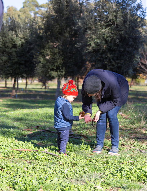 A Taste Of Truffles - Tourism Guide 2
