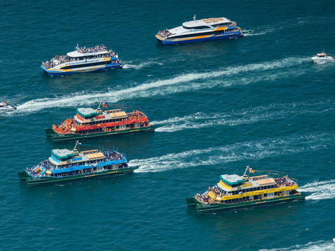 Australia Day Sydney Harbour Cruises - Travel Search 1