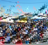 Byron Bay Community Market - Travel Search