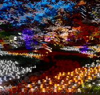 Canberra Nara Candle Festival - Tourism Guide
