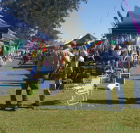 Casino Golf Club Markets - Cruises Travel
