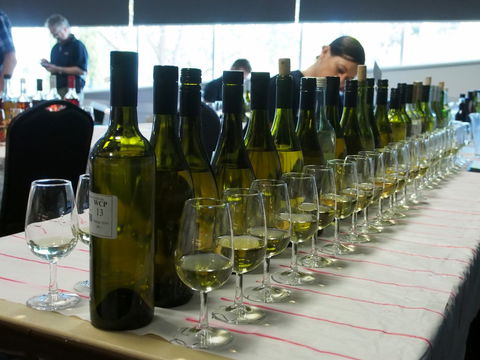 Eltham And District Wine Guild Annual Wine Show - 51st Annual Show - Tourism Guide 1
