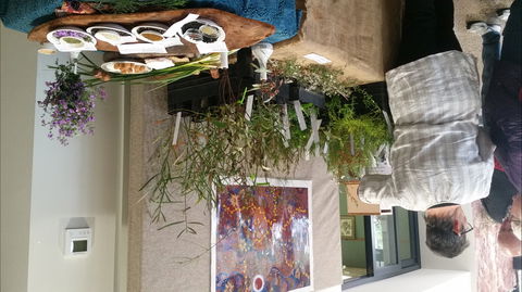 Grampians Wildflower Show - Travel Search 1